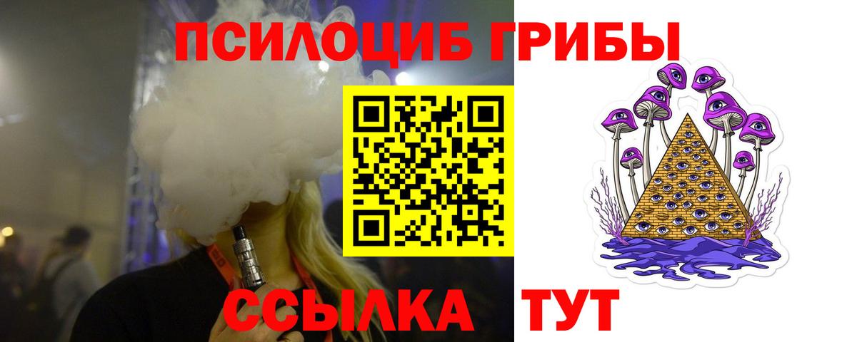 Галлюциногенные грибы Psilocybe  Вход с VPN  Россошь 